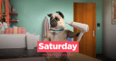 Saturday Animation Studio