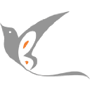 Freebird Animation